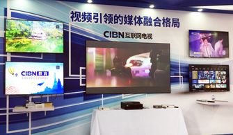 cibn互聯網電視攜旗下看尚亮相birtv2017