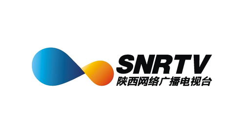陜西網(wǎng)絡(luò)廣播電視臺