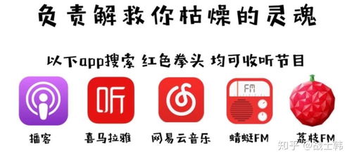 網(wǎng)絡(luò)電臺的復(fù)興與未來 音頻內(nèi)容消費(fèi)的新藍(lán)海